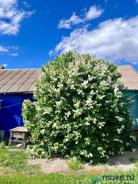 дом, 43 м²