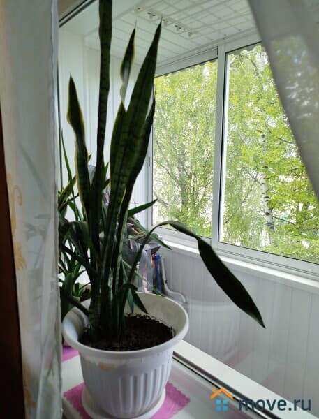 2-комн. квартира, 51 м²