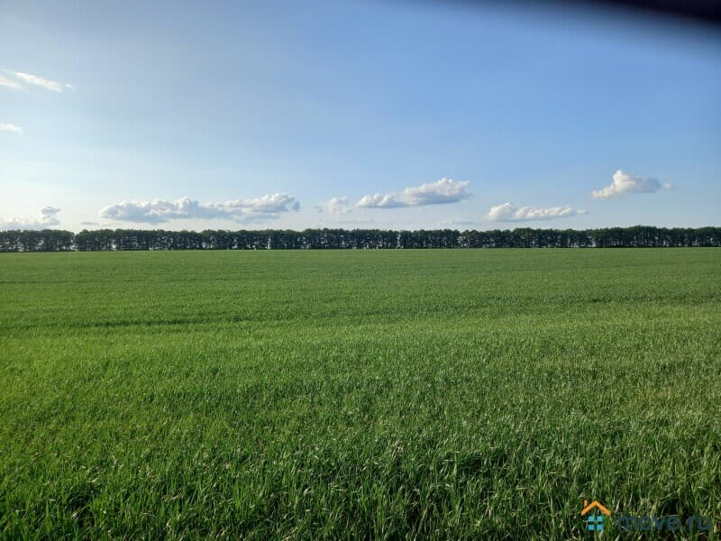 земля с/х назначения, 5.4 га