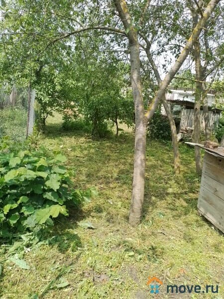 дом, 32 м²