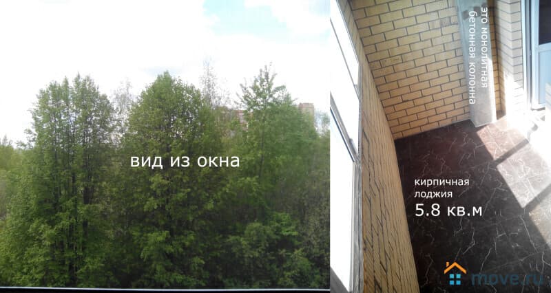 студия, 33.9 м&sup2;