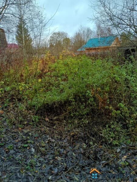 земля под ИЖС, 12.5 сотки