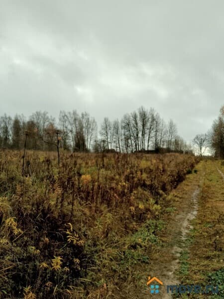 земля под ИЖС, 0.6 га