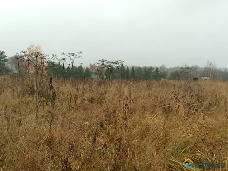 земля под ИЖС, 25 соток