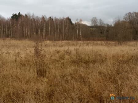 Продаем землю под ИЖС, 30 соток, Середа