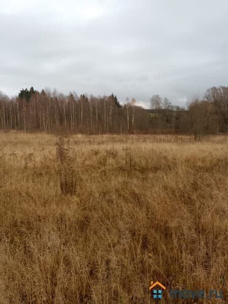 земля под ИЖС, 30 соток