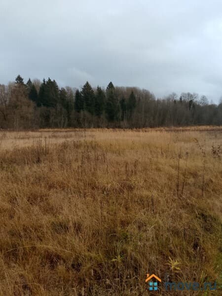 земля под ИЖС, 30 соток