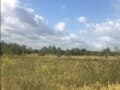 земля с/х назначения, 12 соток