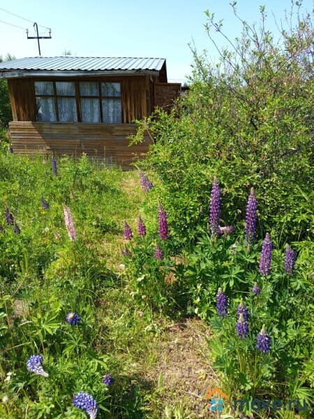 земля с/х назначения, 9.24 сотки