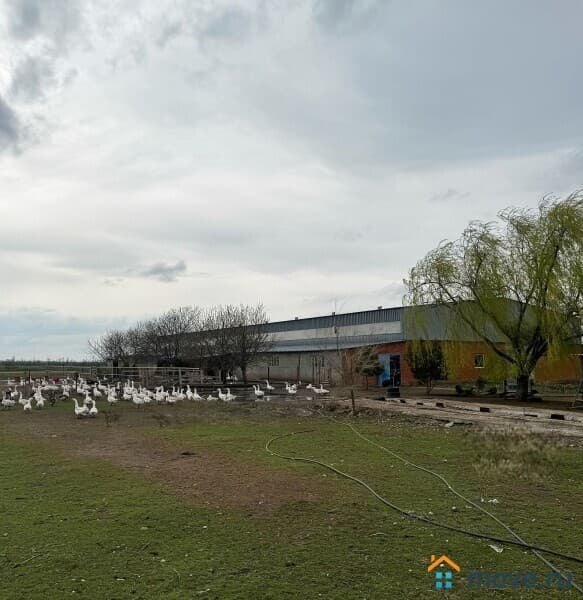 склад, 2500 м²