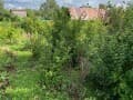 Объявление о продаже дачи, 50 м². Фото 16