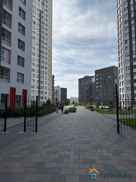 студия, 21.9 м²