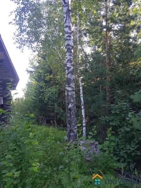 дача, 58 м²