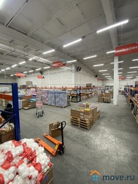 свободного назначения, 3000 м²