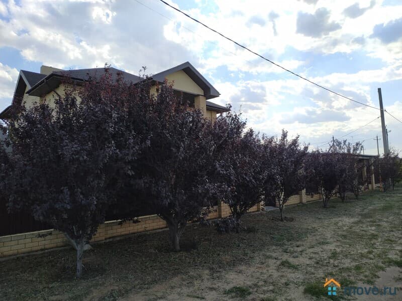 поместье, 617 м&sup2;