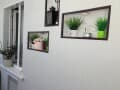 Продажа однокомнатной квартиры, 26 м², этаж 5 из 5. Фото 2