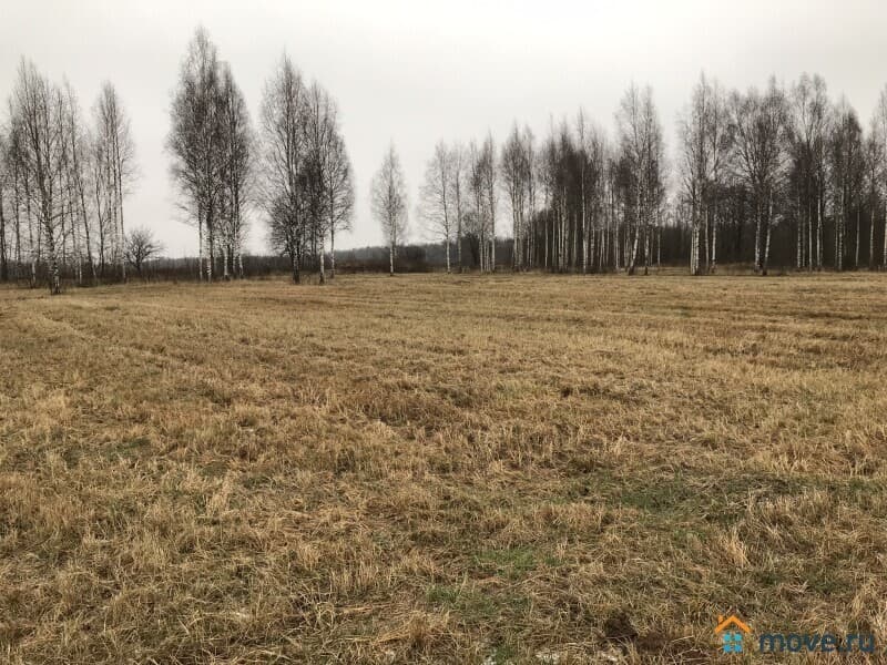 земельный участок, 1 га