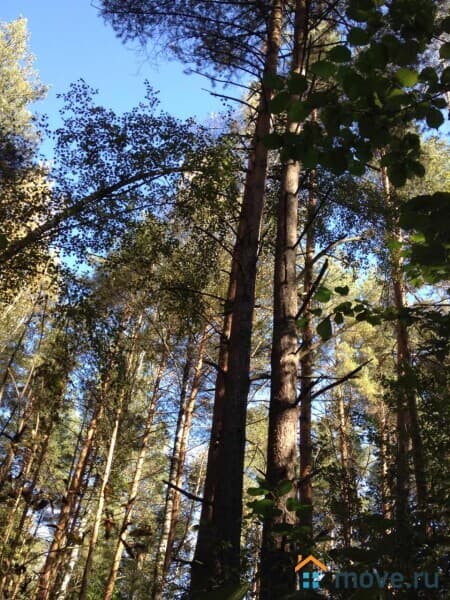 земельный участок, 20.5 сотки