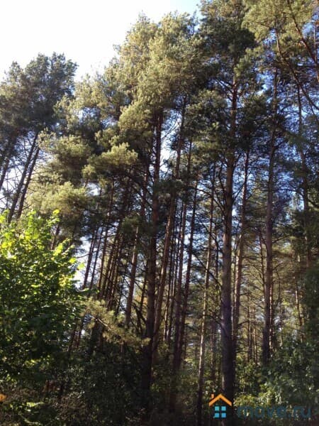 земельный участок, 20.5 сотки