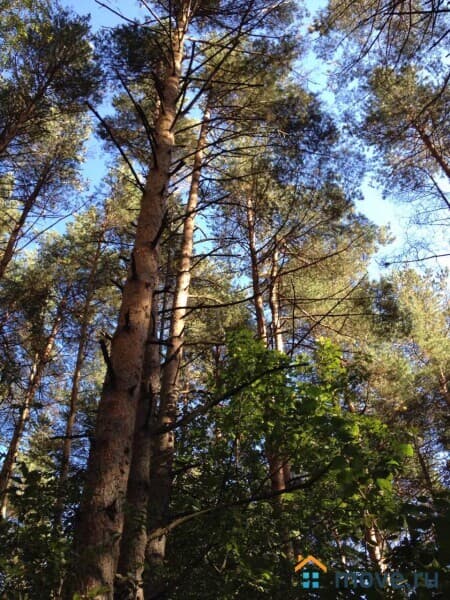 земельный участок, 20.5 сотки