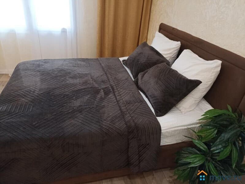 студия, 32 м&sup2;