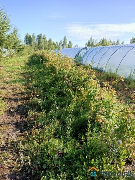 земля с/х назначения, 2.5 га