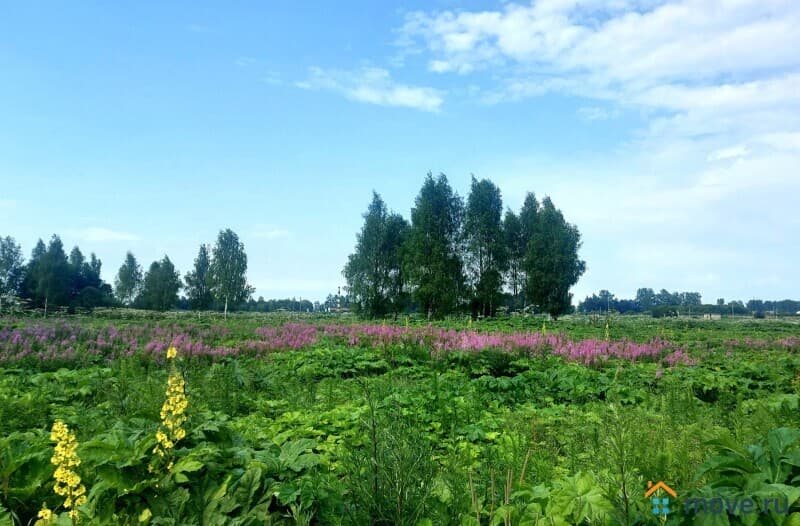 земельный участок, 26 соток