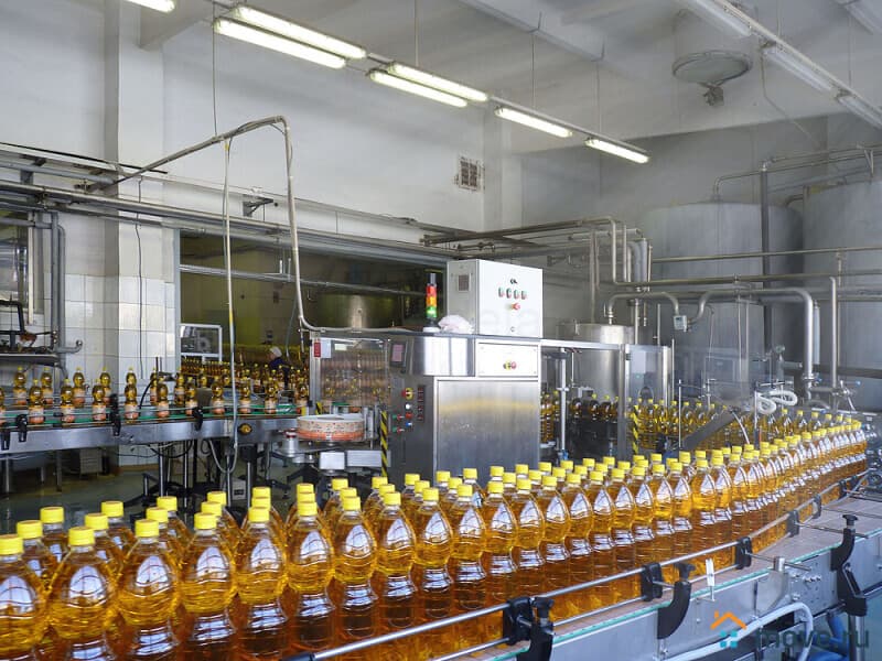 готовый бизнес, 500 м&sup2;