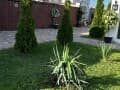 Объявление о сдаче коттеджа на сутки, 150 м². Фото 3
