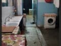 Сдается в аренду комната, 12 м², этаж 2 из 9. Фото 4