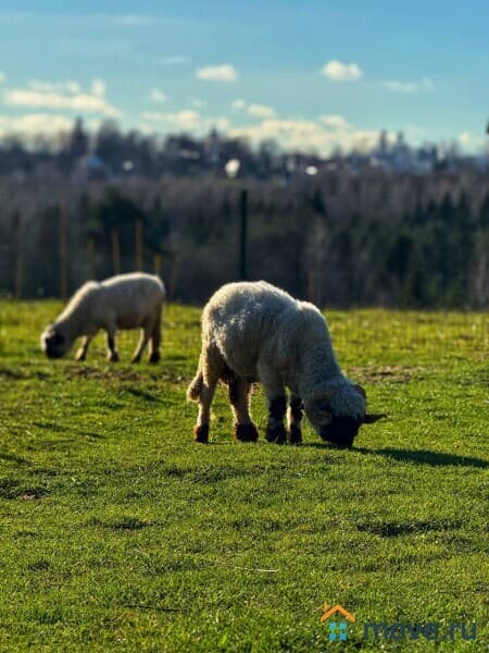 земля под ИЖС, 7.2 сотки