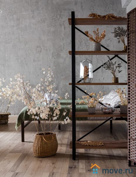 студия, 50 м²