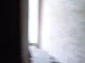 Сдам в аренду двухкомнатную квартиру, 46 м², этаж 4 из 5. Фото 2