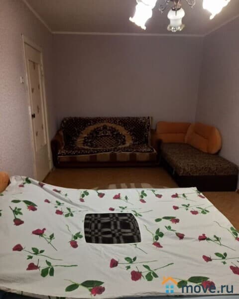комната, 20 м²
