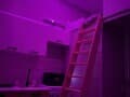 студия, 14 м²