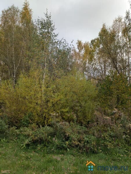 земля под ИЖС, 11 соток
