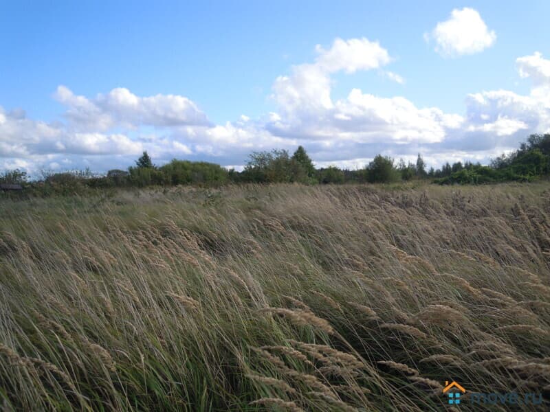 земля с/х назначения, 6 соток