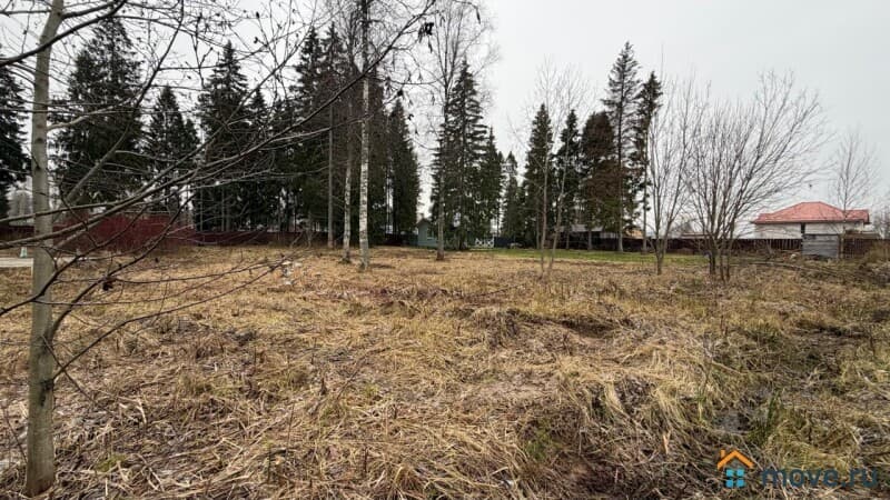 земля с/х назначения, 12.6 сотки