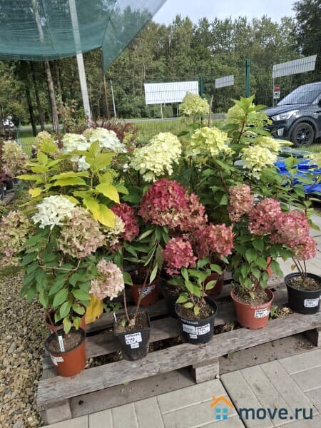 готовый бизнес, 500 м&sup2;