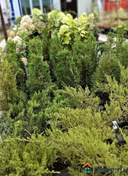 готовый бизнес, 500 м&sup2;