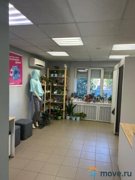 свободного назначения, 44 м²