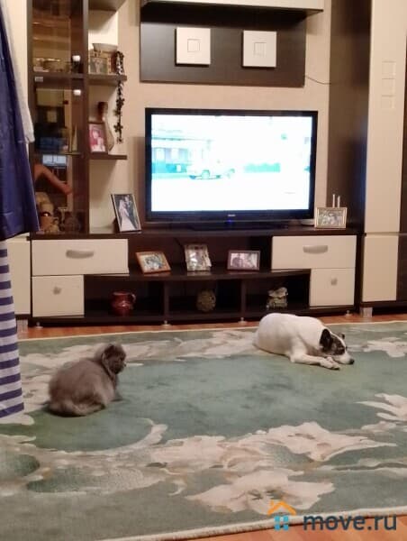 1-комн. квартира, 32 м²