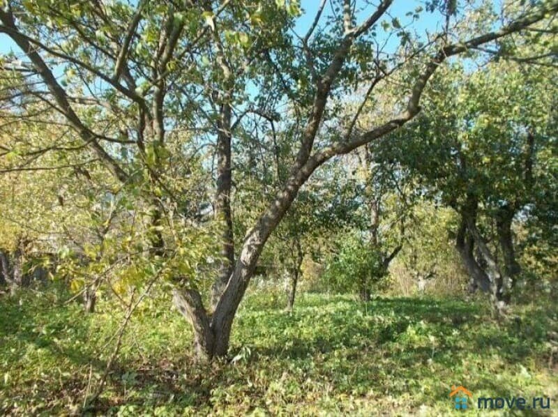 земельный участок, 1 га