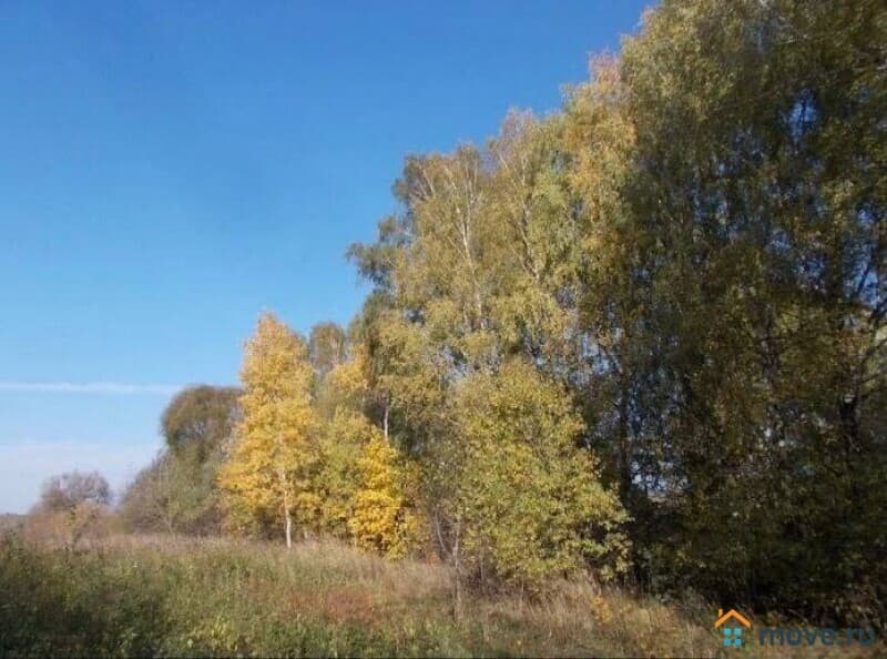 земельный участок, 1 га