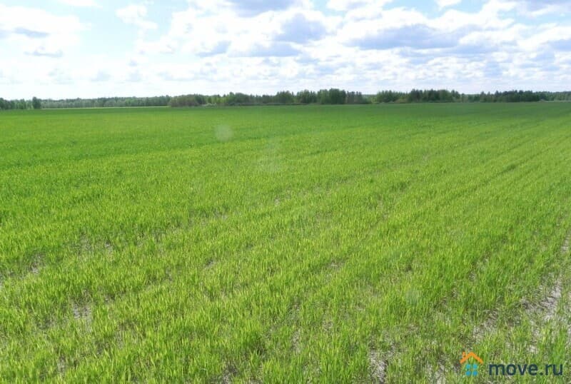 земля с/х назначения, 0.76 га