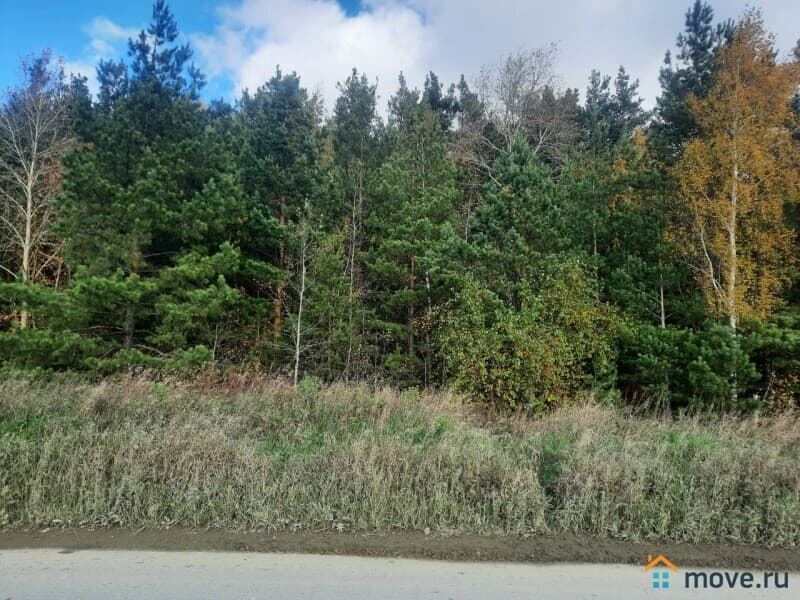 земельный участок, 4.22 га