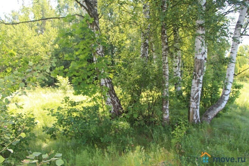 земля под ИЖС, 7 га