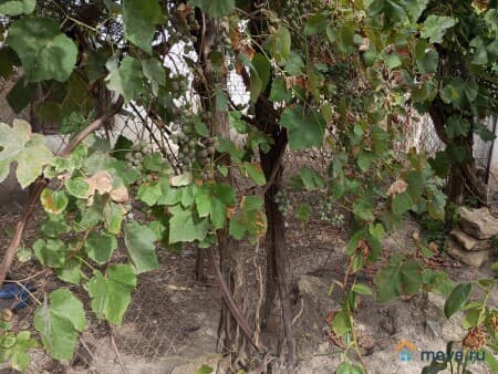 Продается дом, 50 м&sup2;, Высоцкое, улица Нагорная, д 11