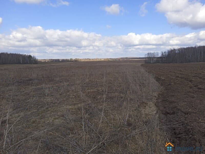 земля с/х назначения, 95 га