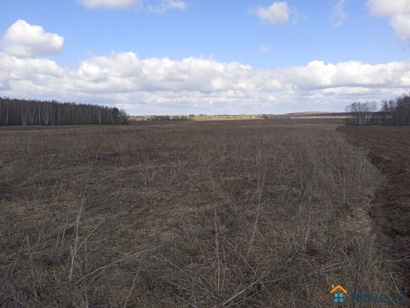 земля с/х назначения, 95 га